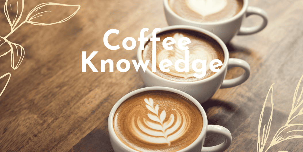 Coffee Knowledge: Everything You Need to Know About the Culture, History, and Benefits of Coffee